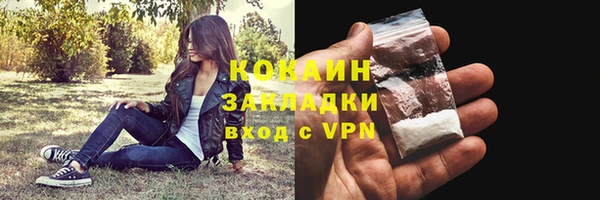 молекула духа Нягань