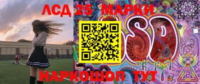 крисы Аргун
