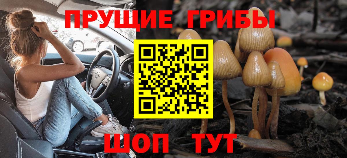 Галлюциногенные грибы Psilocybine cubensis  Вход с VPN  Богородицк 
