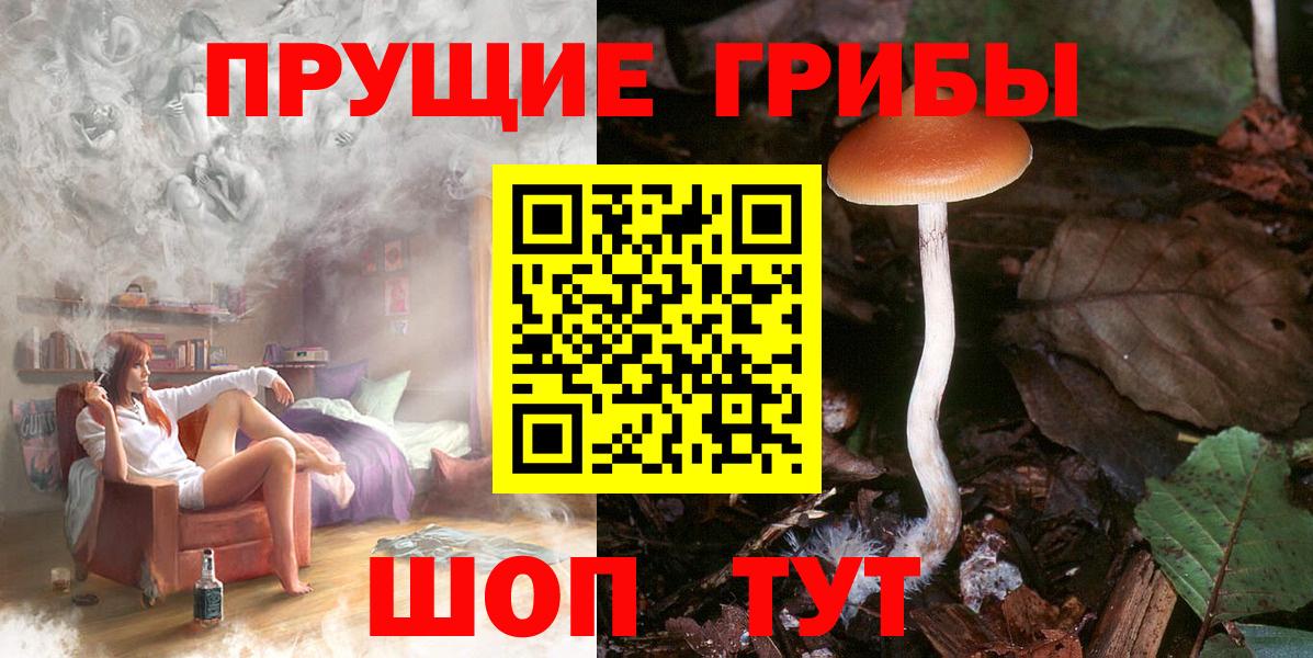 Псилоцибиновые грибы прущие грибы Богородицк