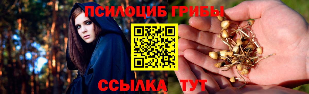 Галлюциногенные грибы ЛСД  Богородицк 